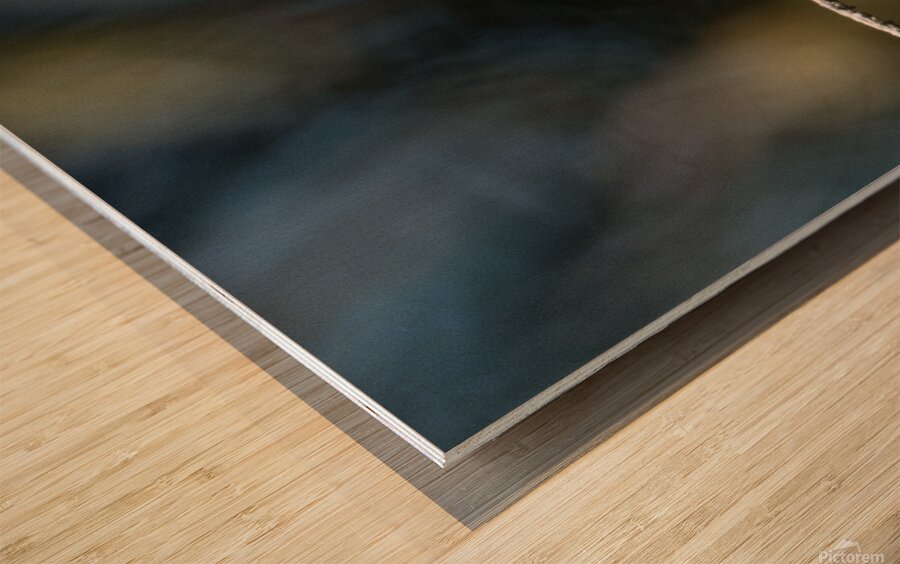 Female Ruby throated Hummingbird 1384 Wood print