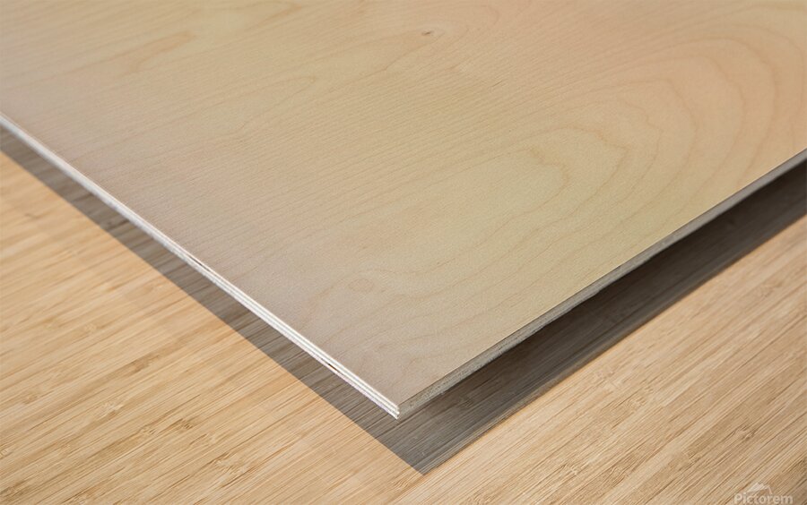 Western Meadowlark 0428 Wood print