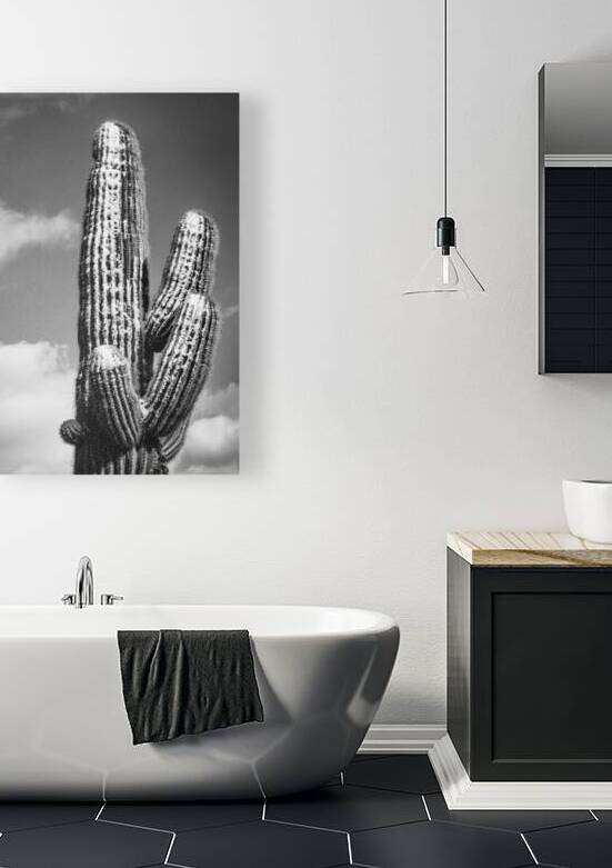 Snowy Saguaro of Arizona by Studio Laurent