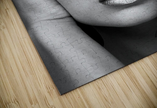 Protectors Ali youssefi puzzle