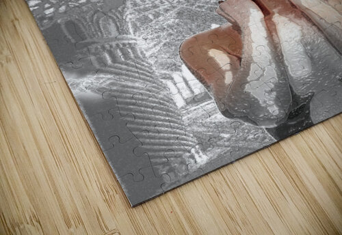 feminine mind Ali youssefi puzzle