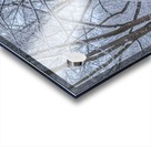 Winter punch Acrylic print