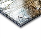 Forest pano Acrylic print