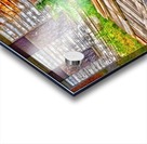bean carriage scale Acrylic print