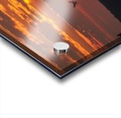 Breakfast Delivery Acrylic print