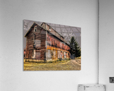 Steadfast Acrylic Print