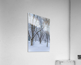 Winter punch Acrylic Print