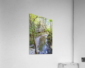 Eagle Cliff Falls 5 Acrylic Print