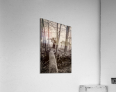 The Fallen Acrylic Print