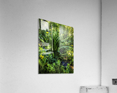 Nature Water Filter Acrylic Print