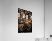 Fireworks 2 Acrylic Print