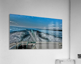 The Wake Acrylic Print