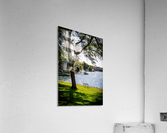 Skaneateles 12 Acrylic Print