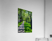 Skaneateles 11 Acrylic Print