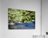Carpenter Falls 7 Acrylic Print