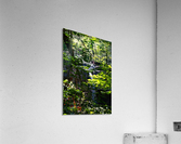 Carpenter Falls 4 Acrylic Print