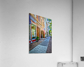 Skaneateles 4 Acrylic Print