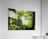Carpenter Falls 2 Acrylic Print