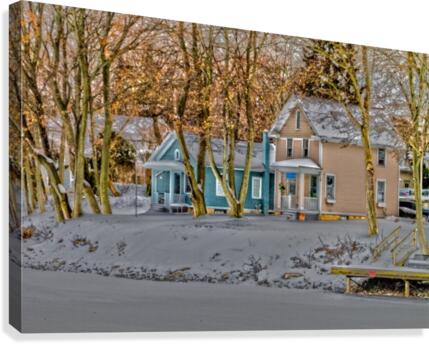 Canalside Living Canvas Print
