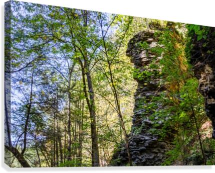 Eagle Cliff Falls 20 Canvas Print