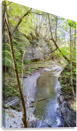 Eagle Cliff Falls 5 Canvas Print