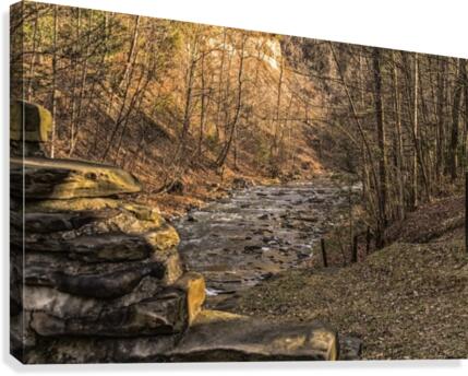 Stoney Brook Falls 2 Canvas Print