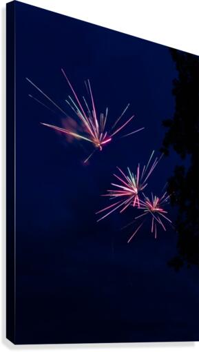 Fireworks 2019 2 Canvas Print