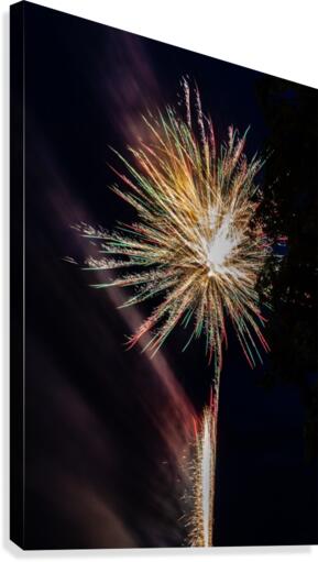 Fireworks 2019 41 Canvas Print