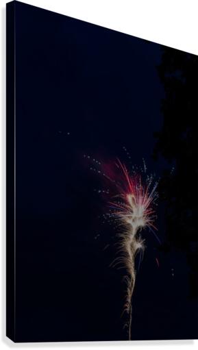 Fireworks 2019 4 Canvas Print