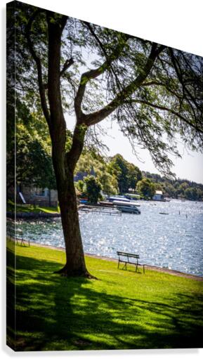 Skaneateles 12 Canvas Print