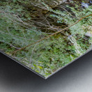 Eagle Cliff Falls 4 Metal print