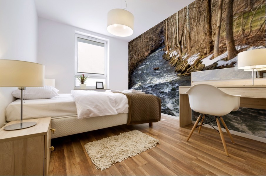 Ice Water Mural print