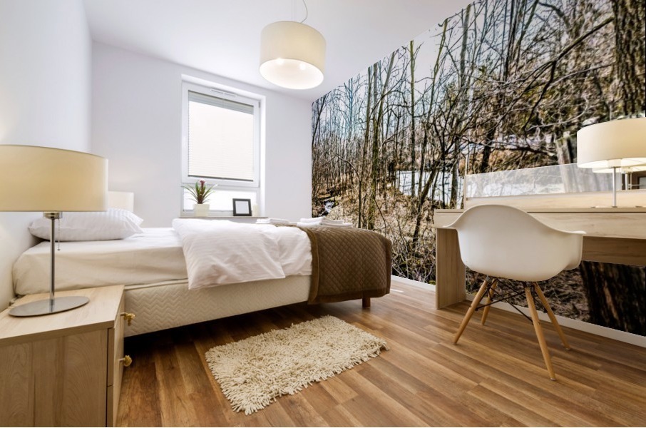Forest pano Mural print