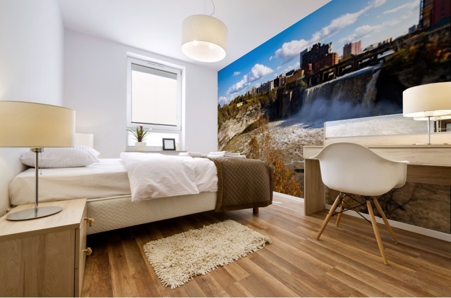 High Falls Gorge  Mural print