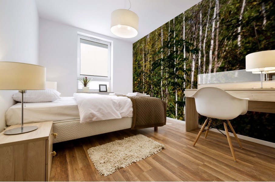 The Birches  Mural print