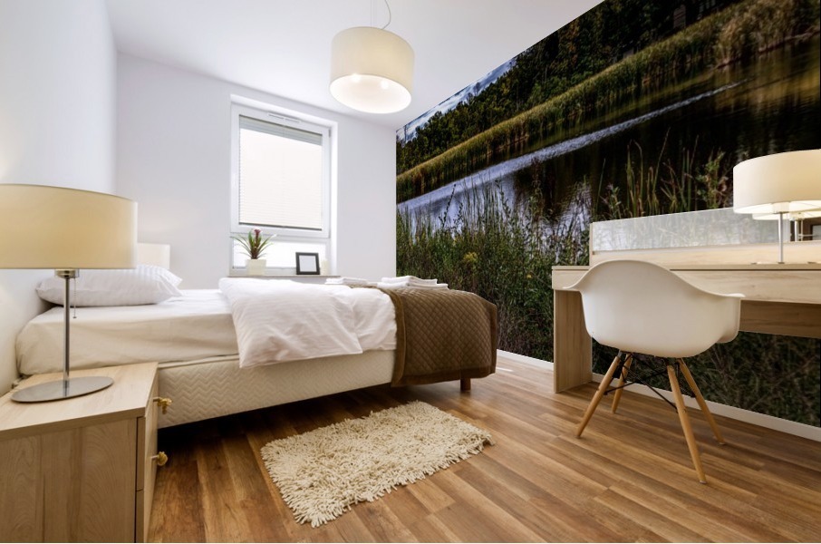 The Pond  Mural print