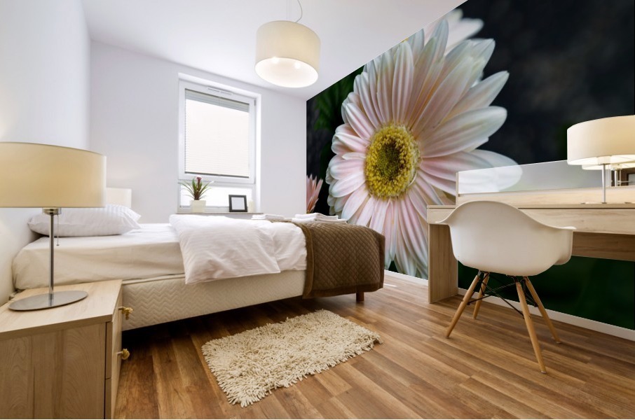 Daisy 7 Mural print