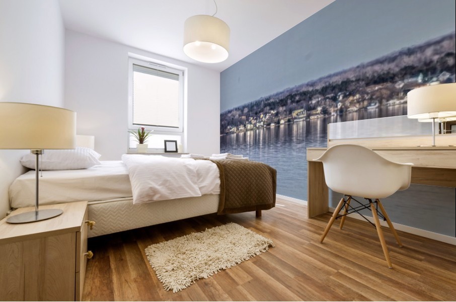 Romulus Panorama Mural print