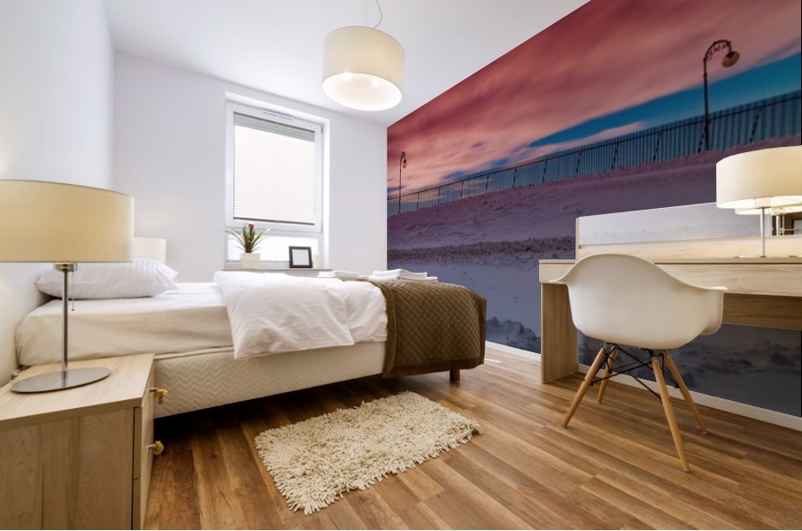 Cobbs Hill winter Mural print