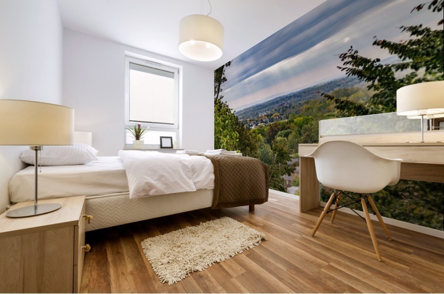 Highland Park Mural print