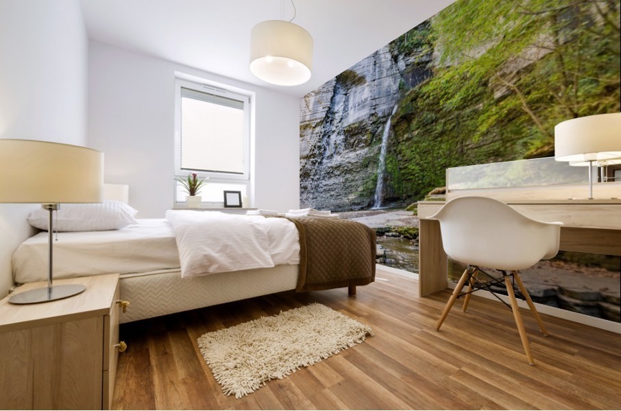 Eagle Cliff Falls 7 Mural print