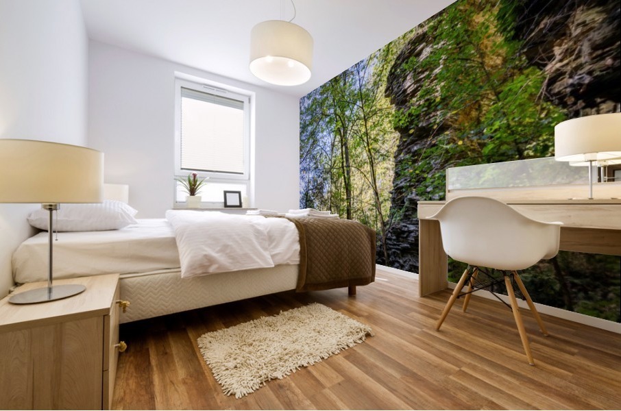 Eagle Cliff Falls 20 Mural print