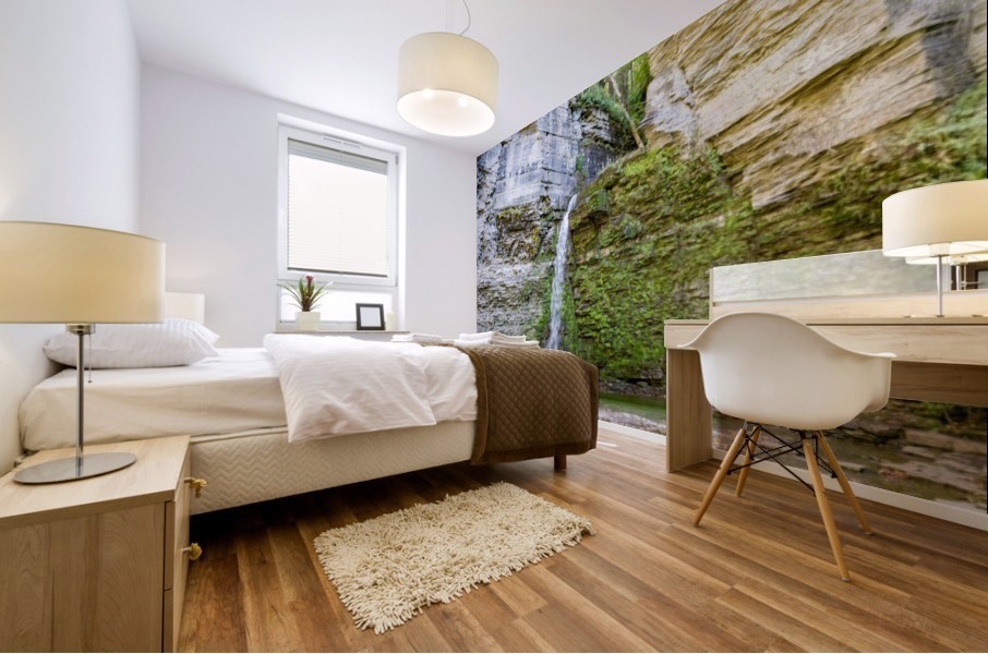 Eagle Cliff Falls 8 Mural print