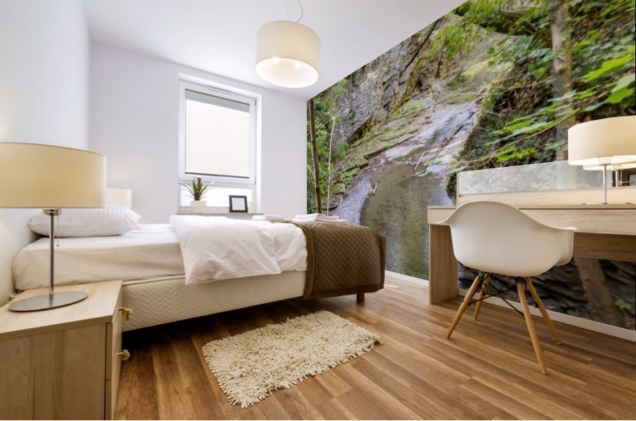 Eagle Cliff Falls 5 Mural print