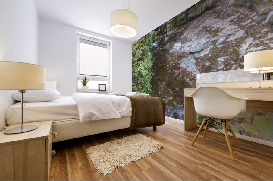 Eagle Cliff Falls 22 Mural print