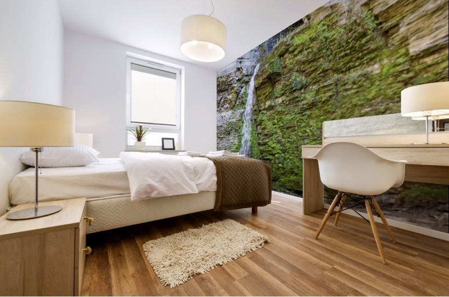 Eagle Cliff Falls 9 Mural print