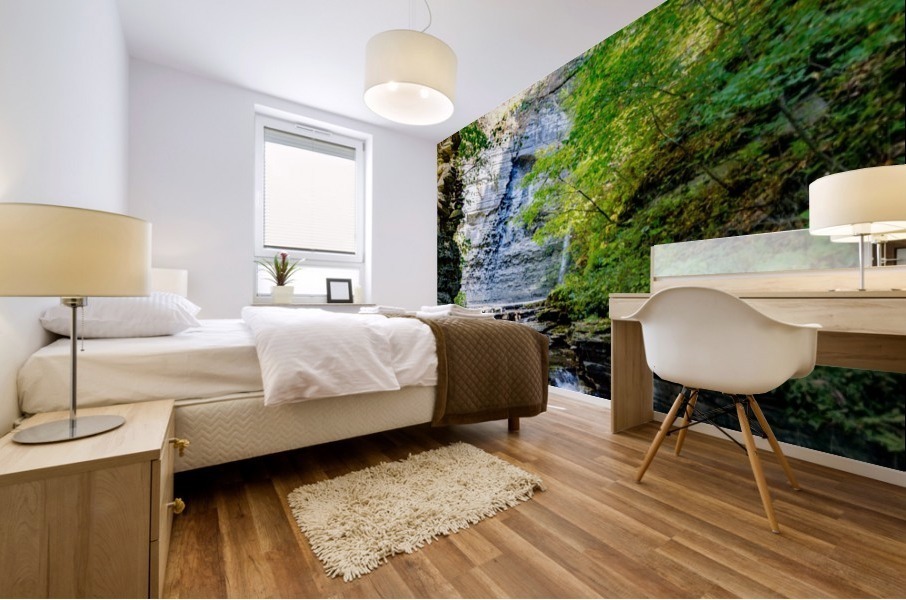 Eagle Cliff Falls 21 Mural print