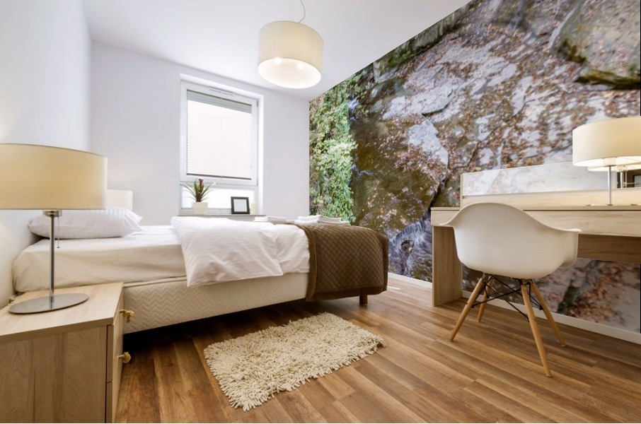 Eagle Cliff Falls 4 Mural print