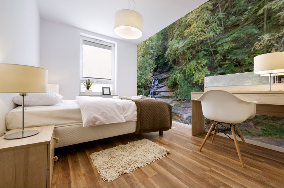 Eagle Cliff Falls 2 Mural print