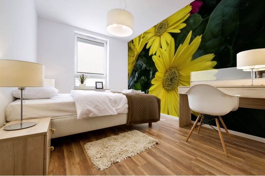 Gerbera Daisy Mural print